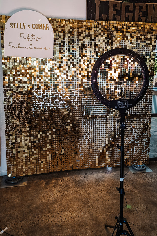 Shimmer Wall - Gold or Silver
